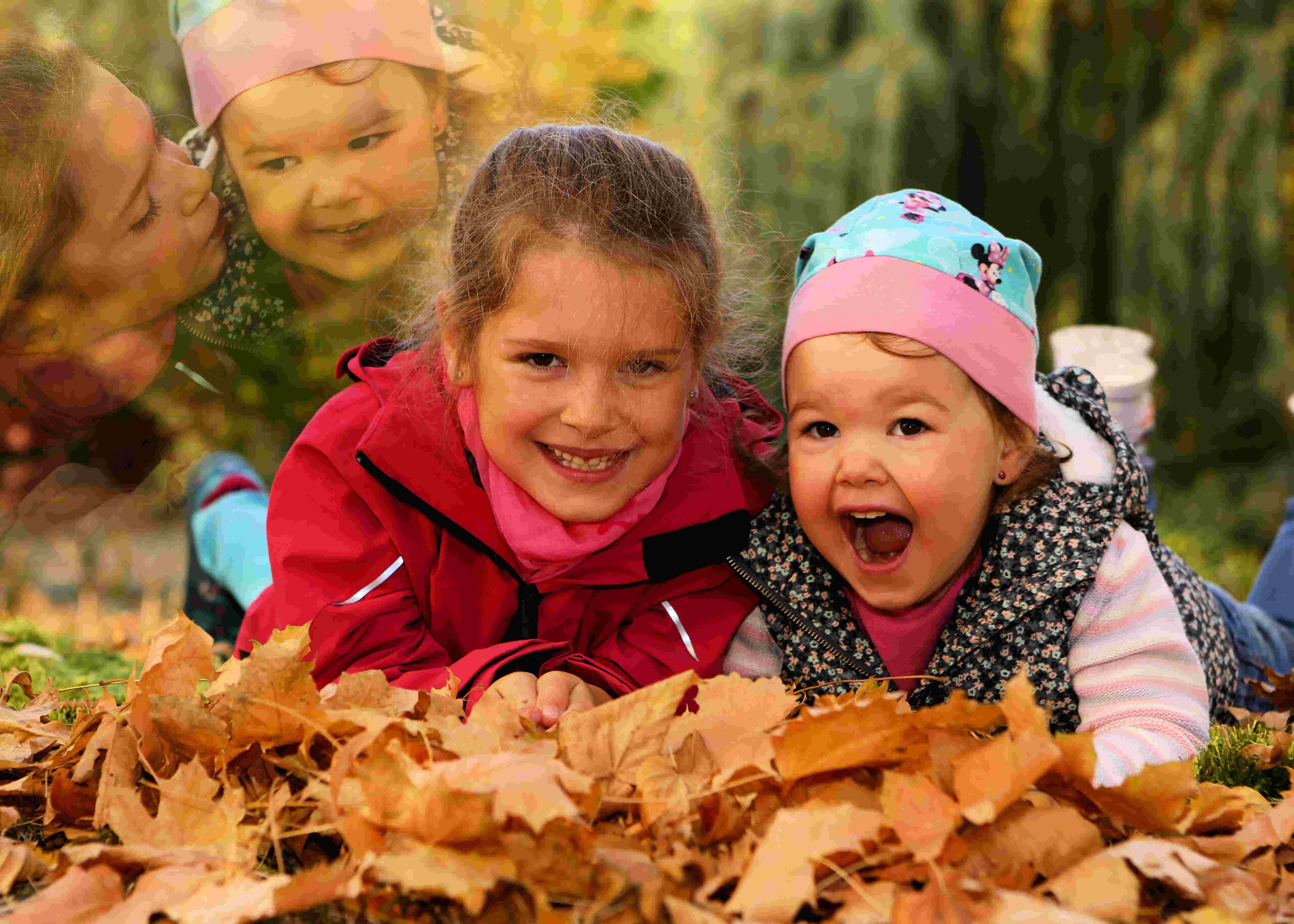 Herbstlaubfoto