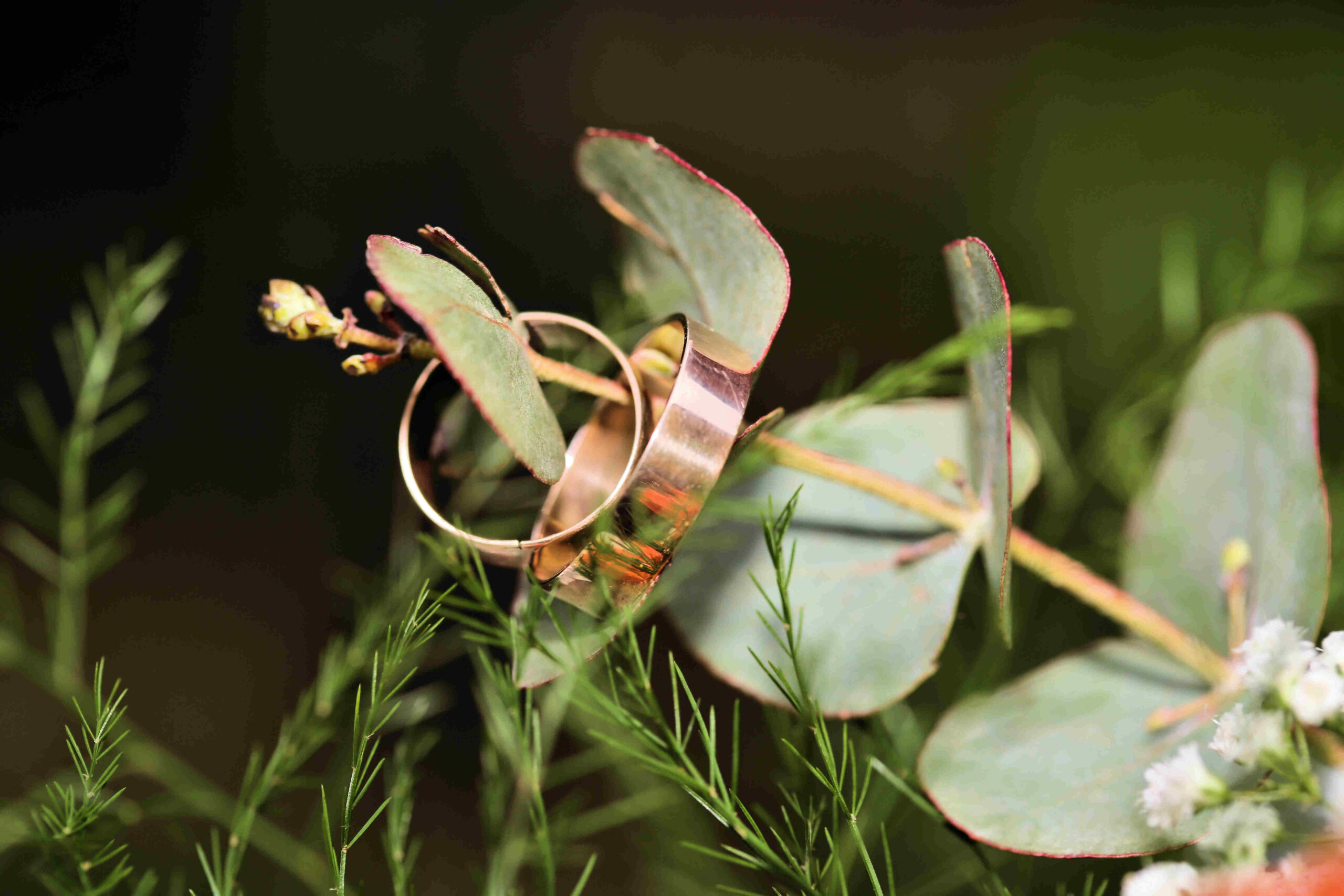 Ringfoto Hochzeit