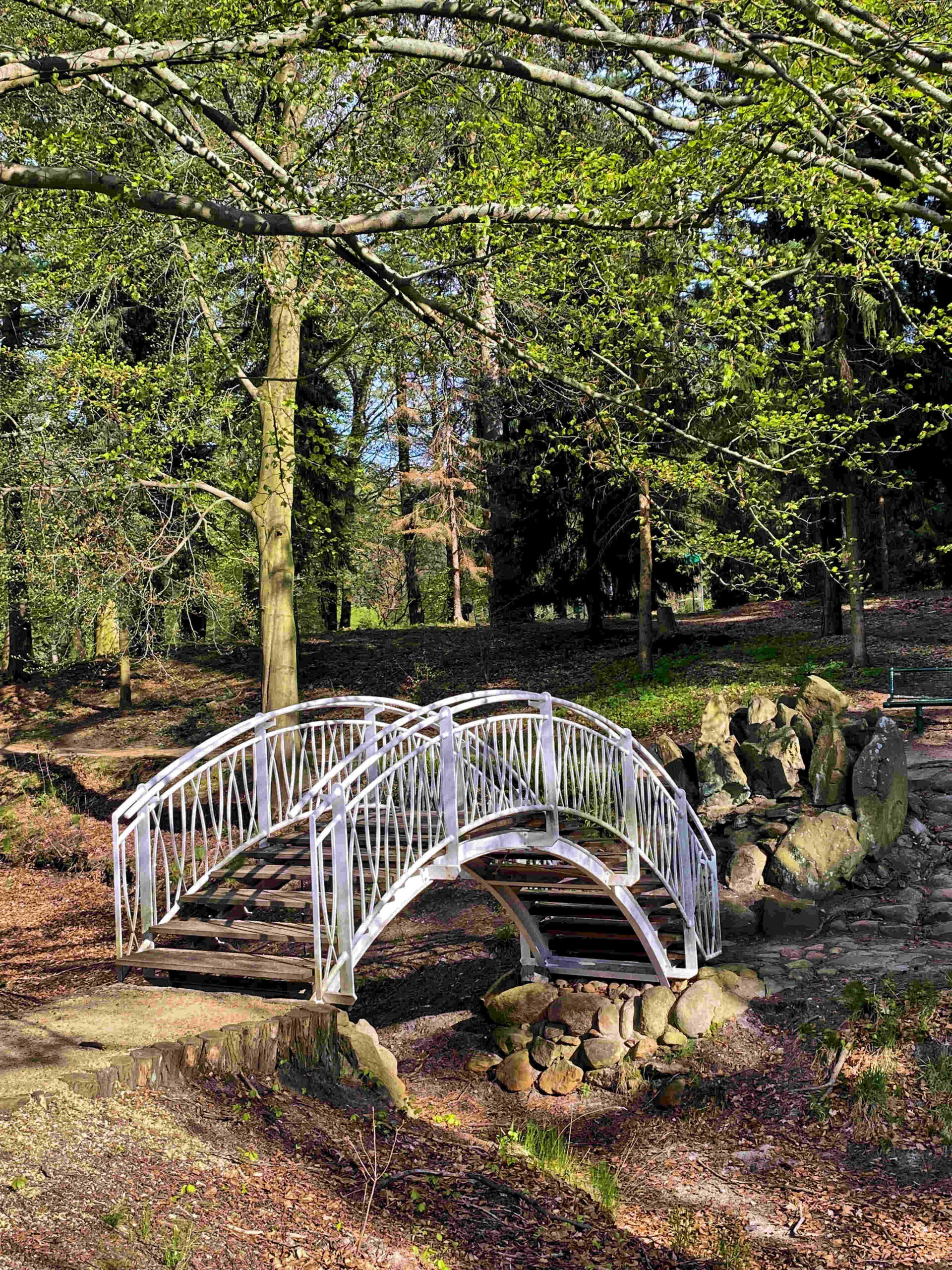 Naturfoto Brücke